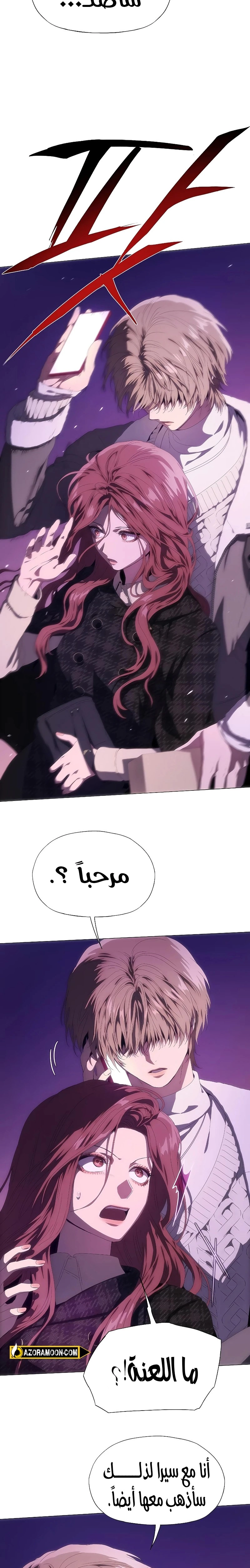 الصفحة 13
