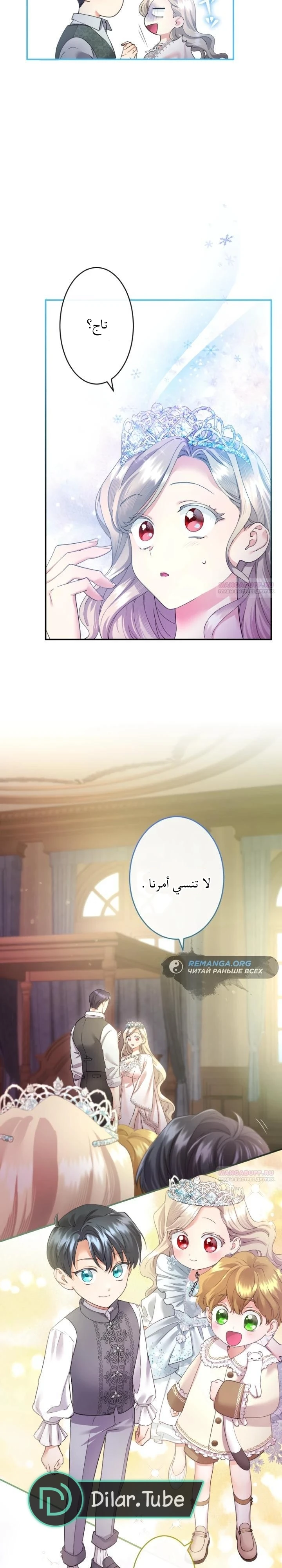 الصفحة 24