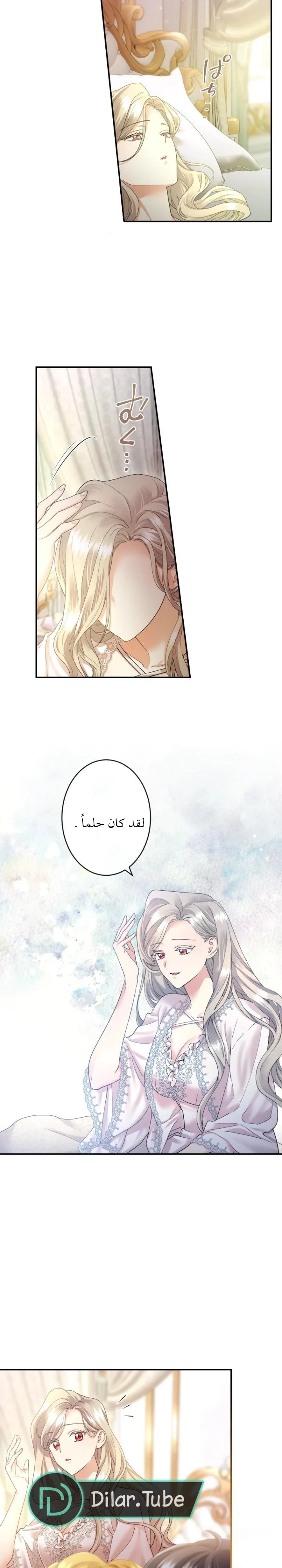 الصفحة 28