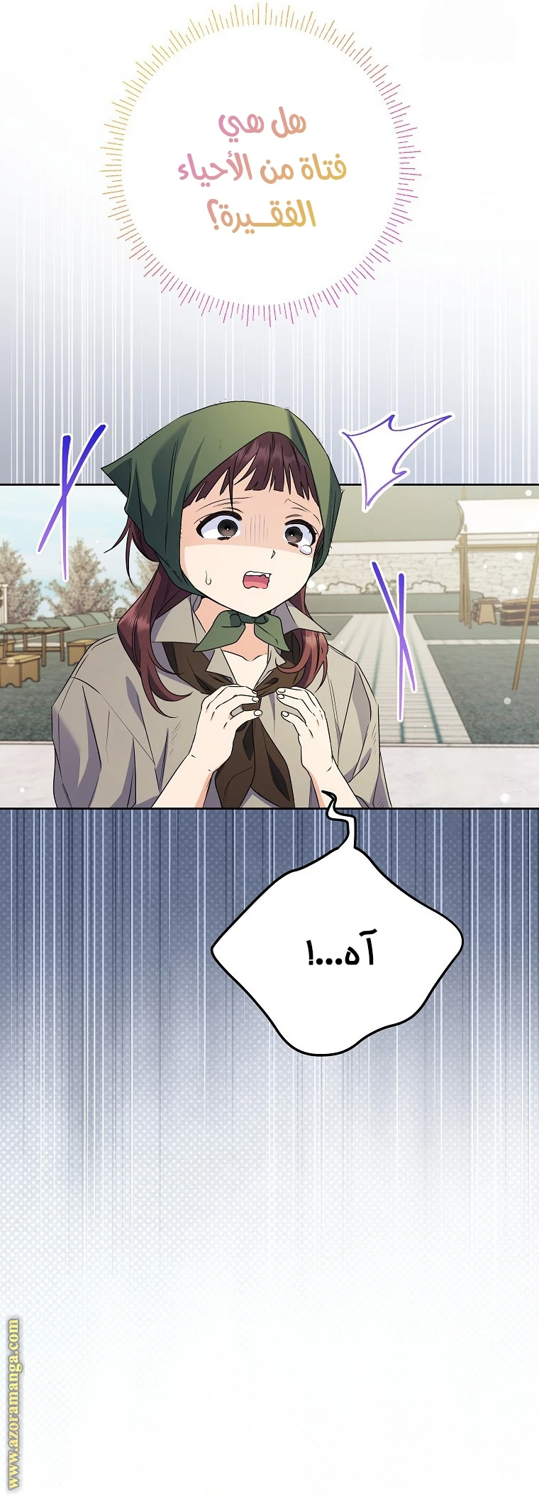 الصفحة 13