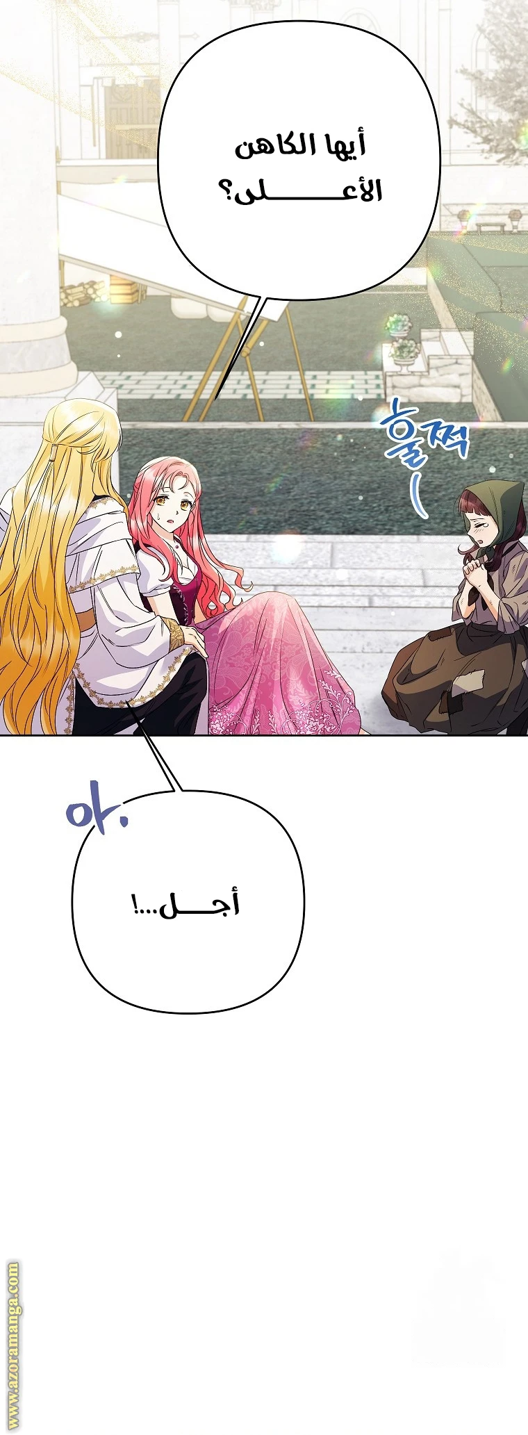 الصفحة 17