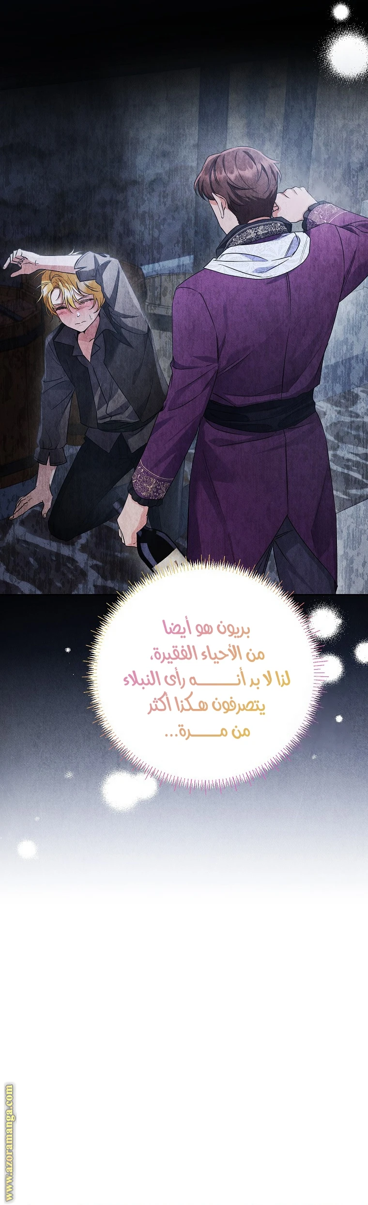 الصفحة 25