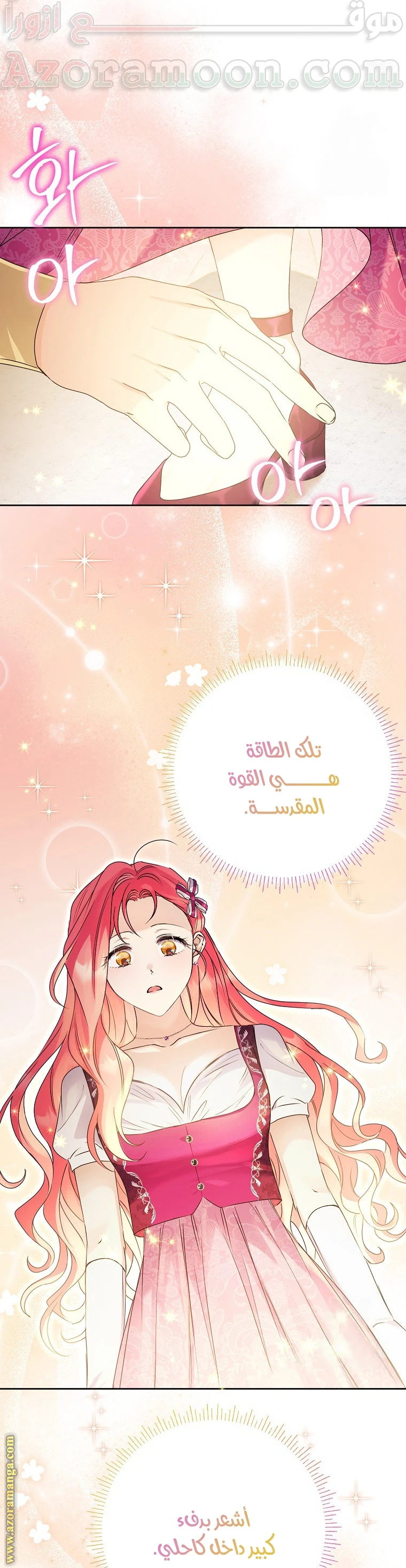 الصفحة 29