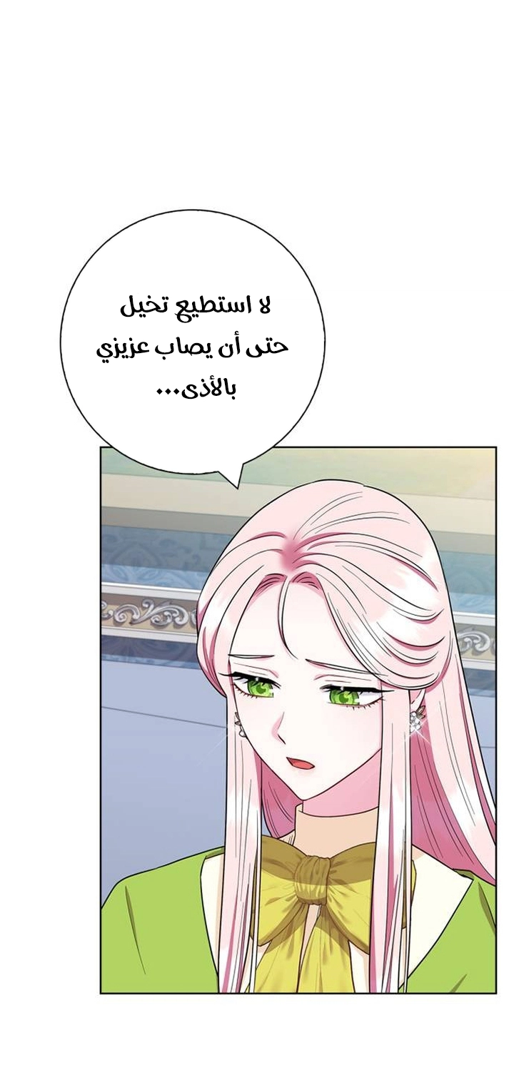 الصفحة 40