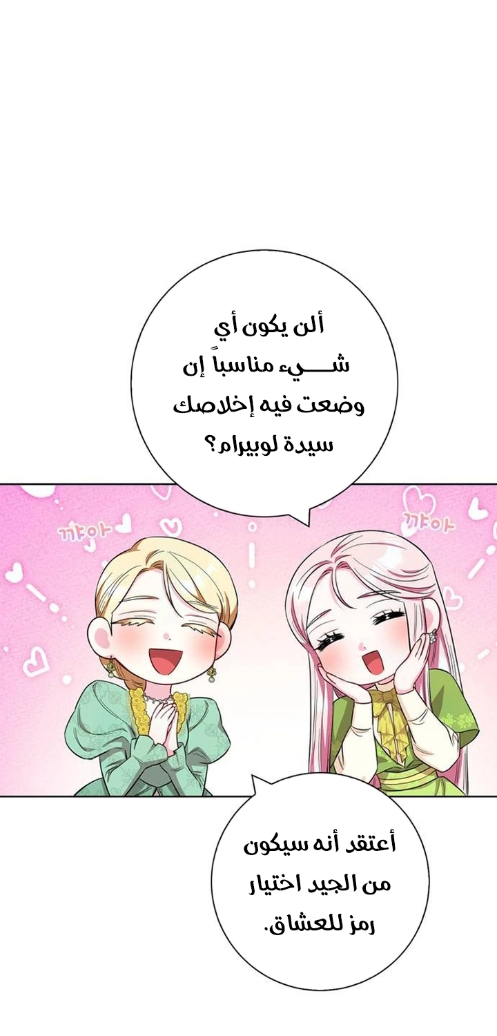 الصفحة 46
