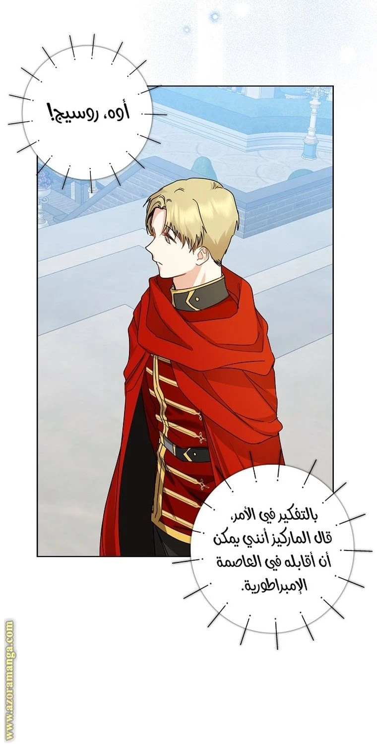 الصفحة 19