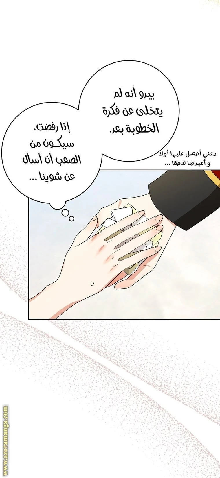 الصفحة 29