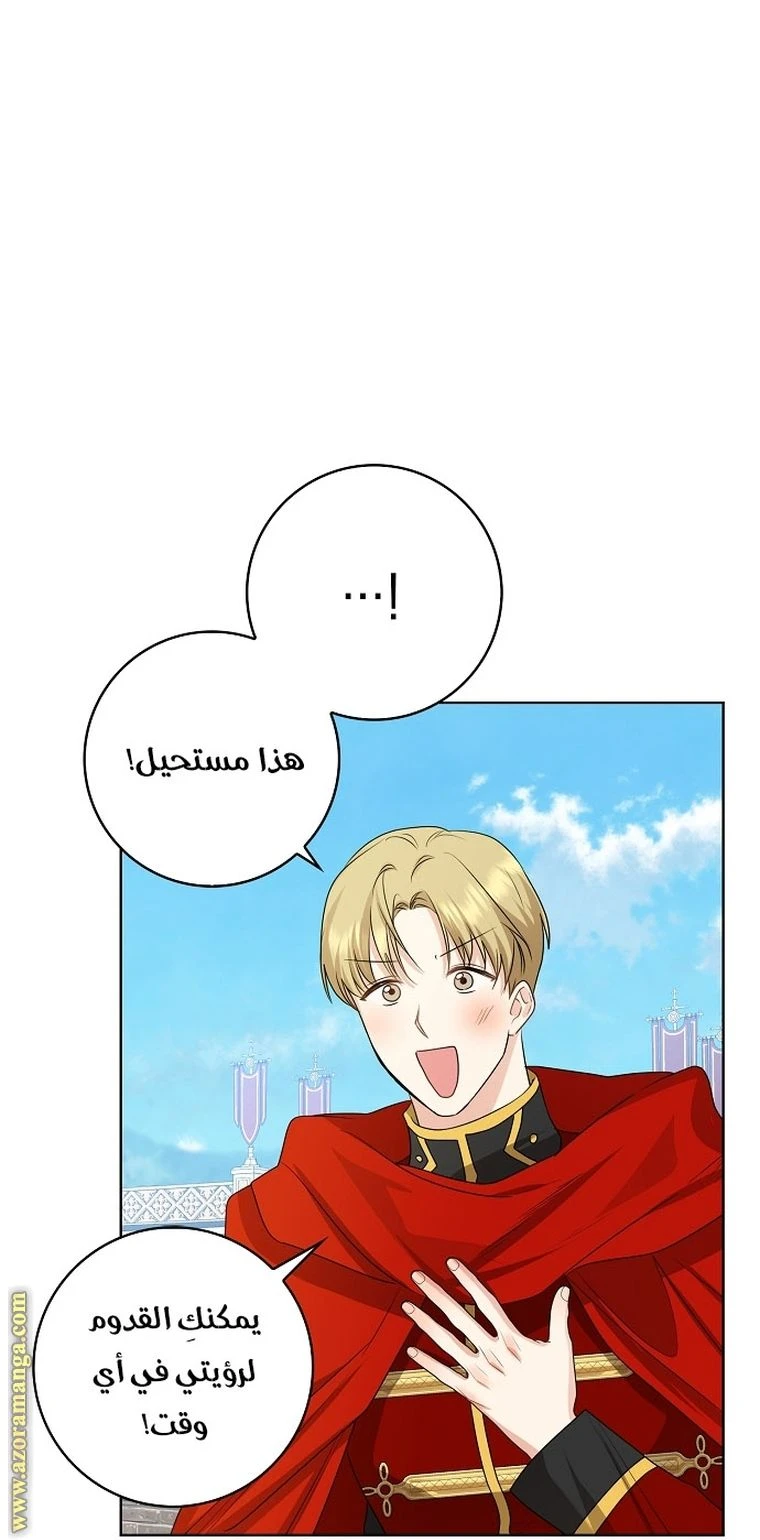 الصفحة 45