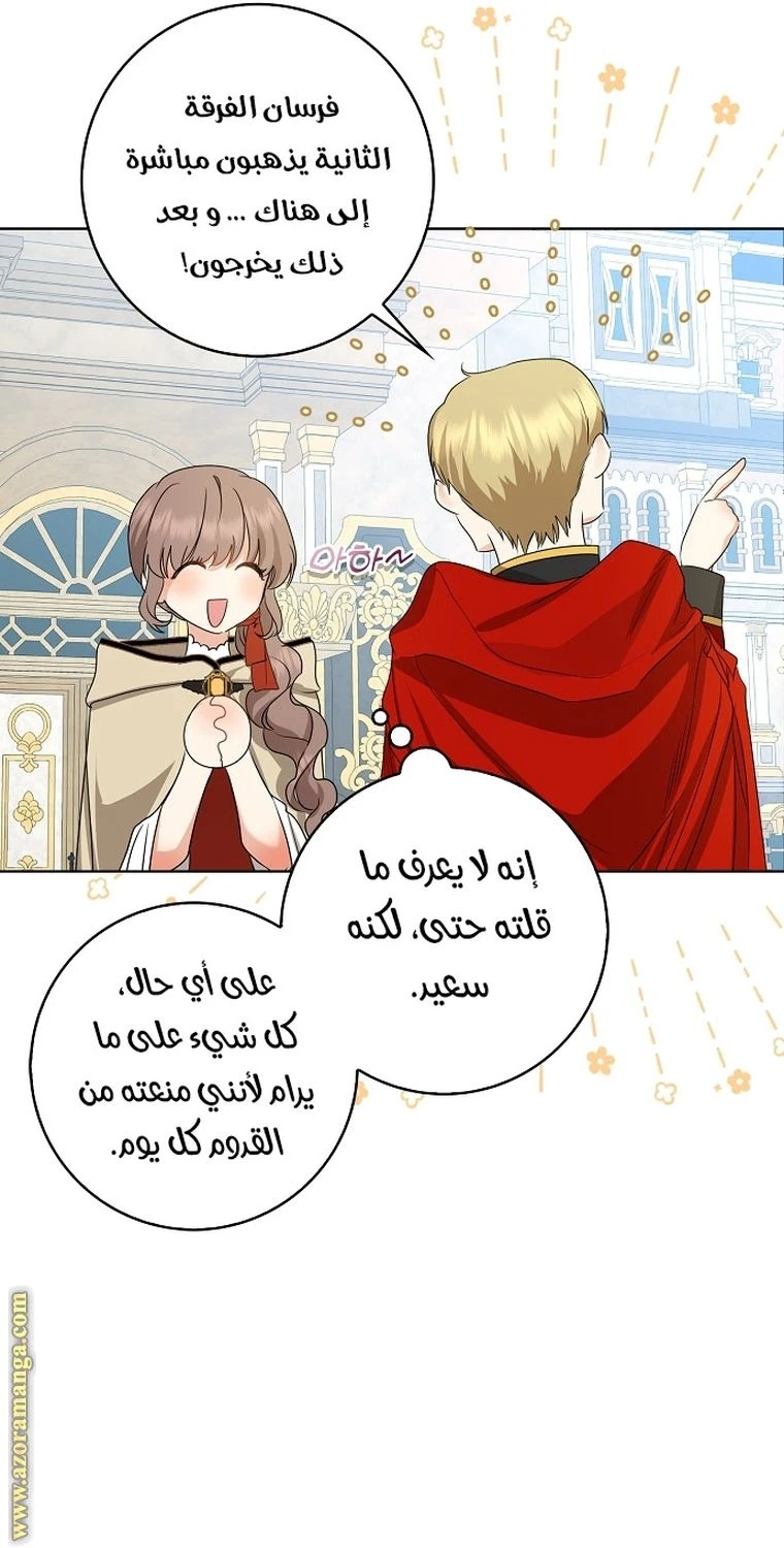 الصفحة 47
