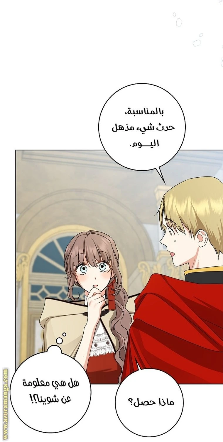 الصفحة 56