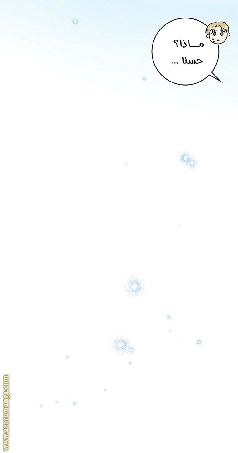 الصفحة 63