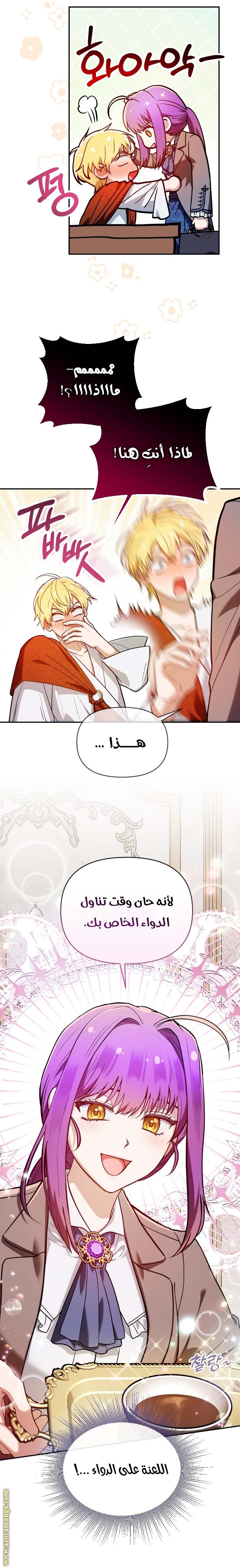 الصفحة 14