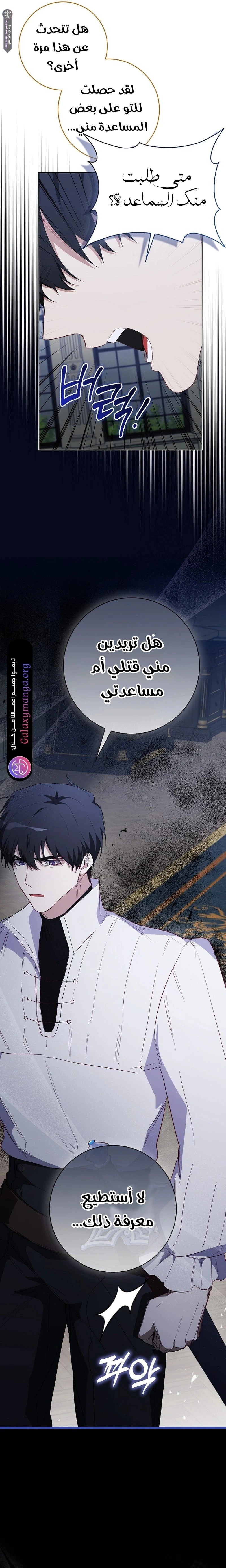 الصفحة 12