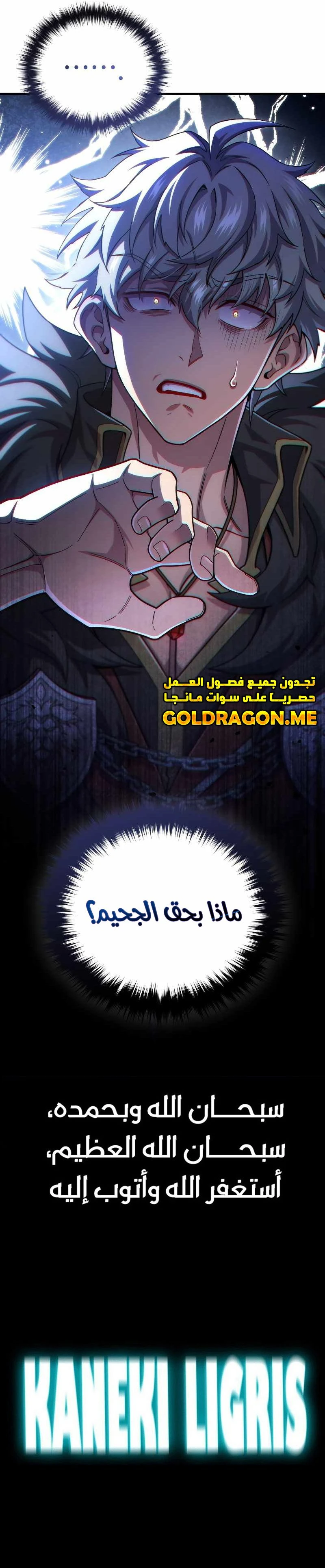 الصفحة 13