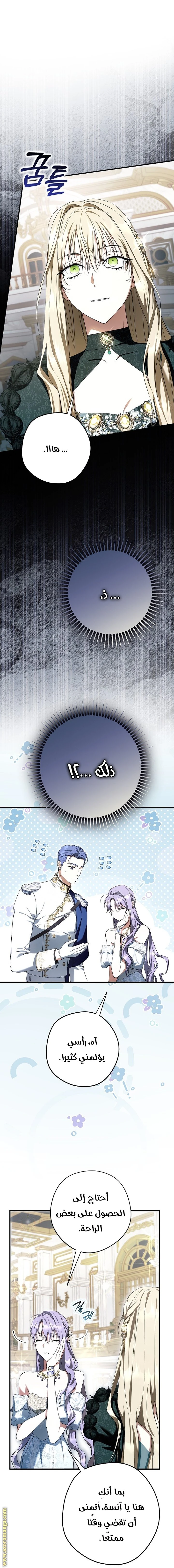 الصفحة 26