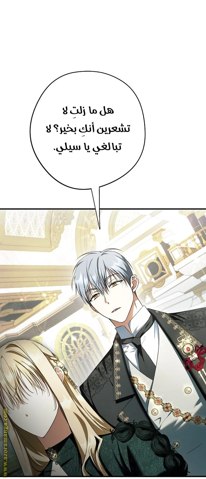 الصفحة 27