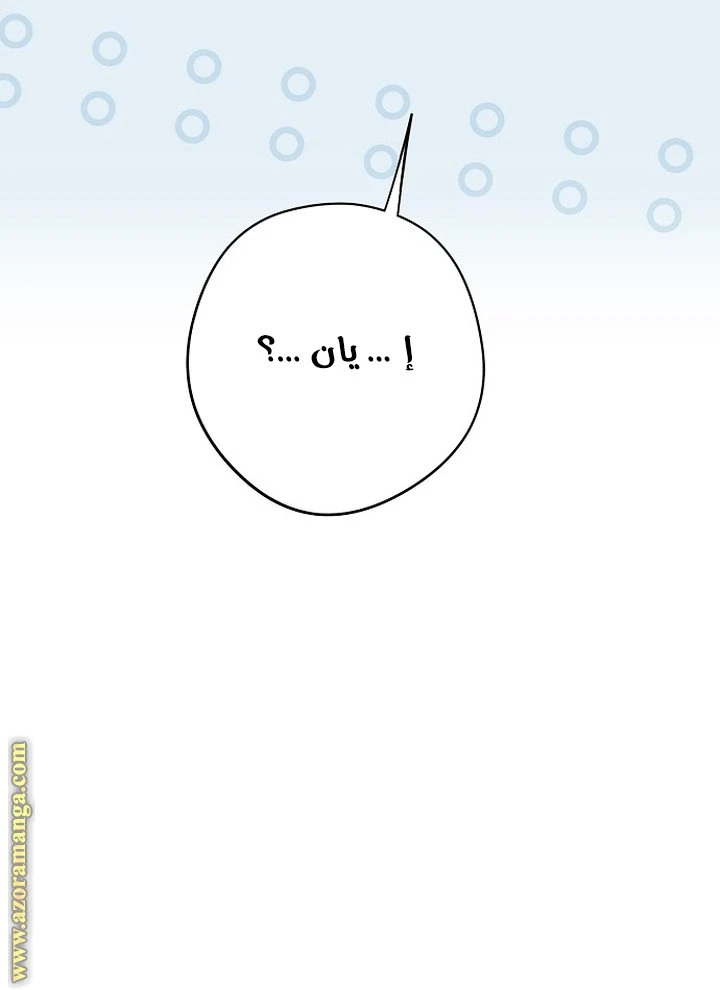 الصفحة 31