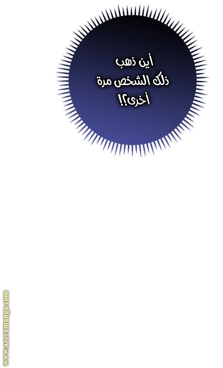 الصفحة 33