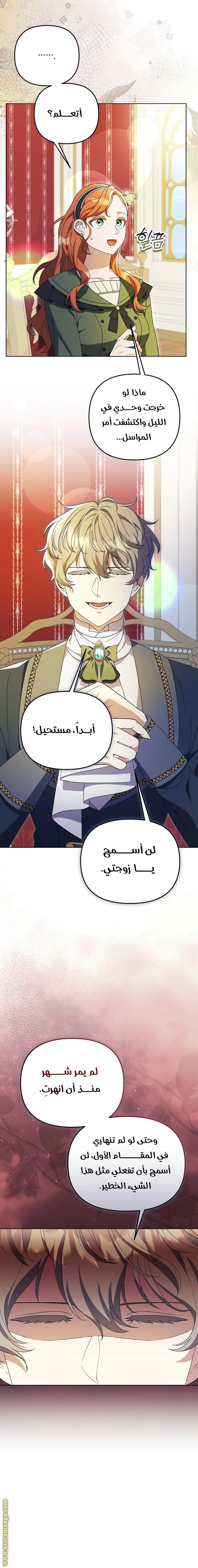 الصفحة 20