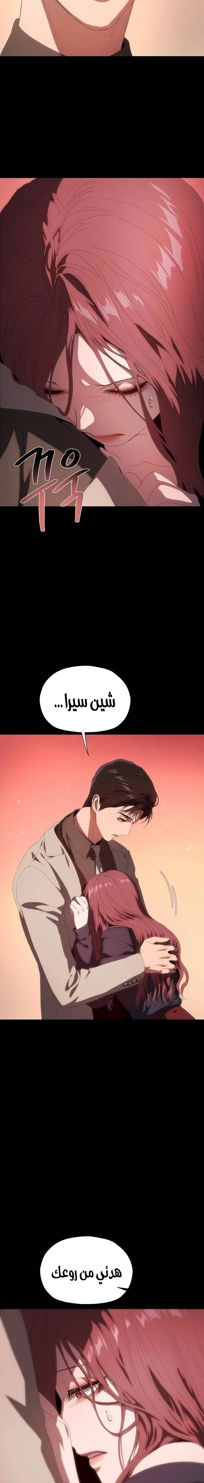 الصفحة 23