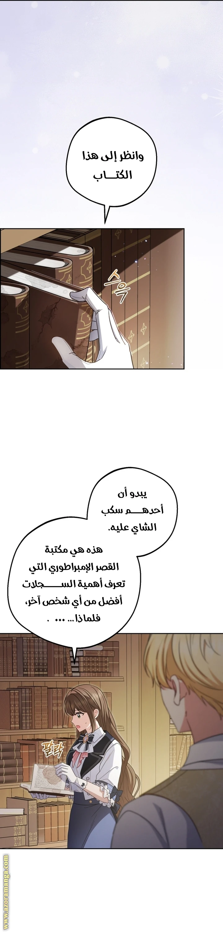 الصفحة 17