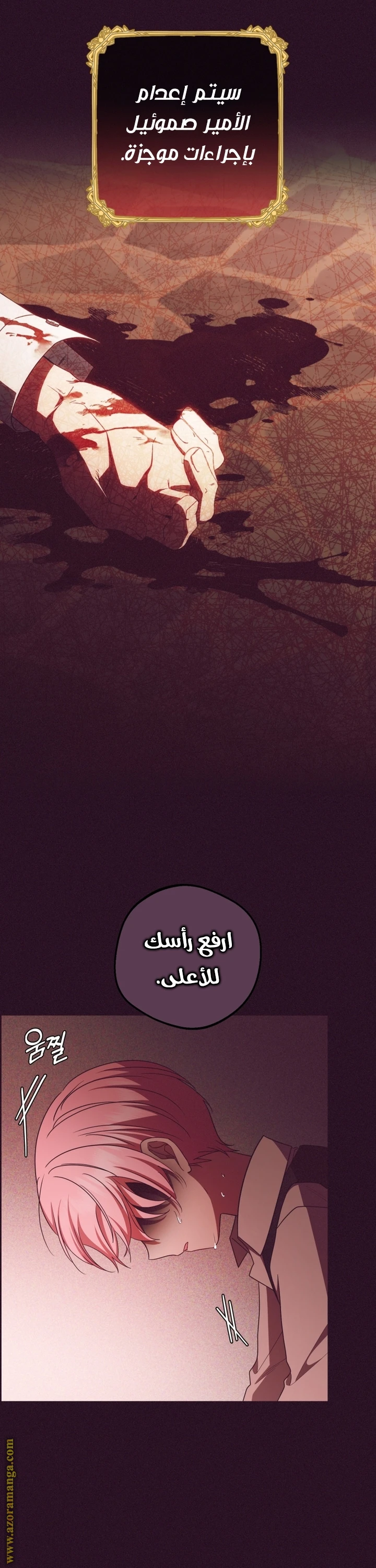 الصفحة 41