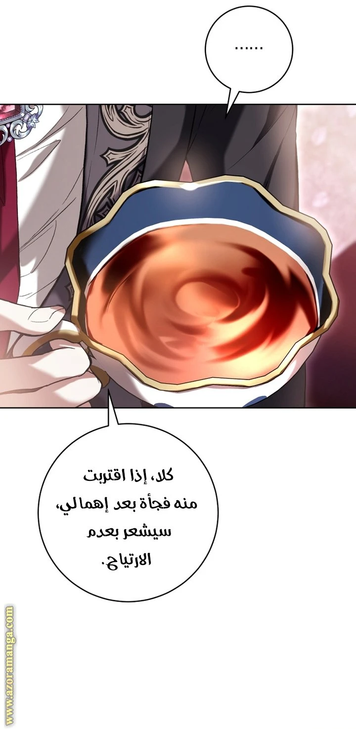 الصفحة 25