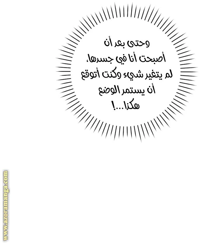 الصفحة 41