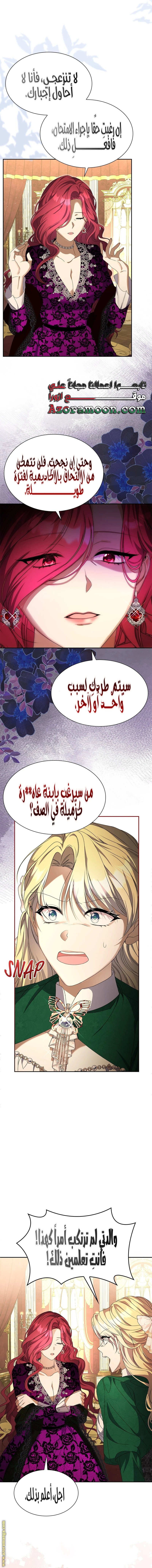 الصفحة 17