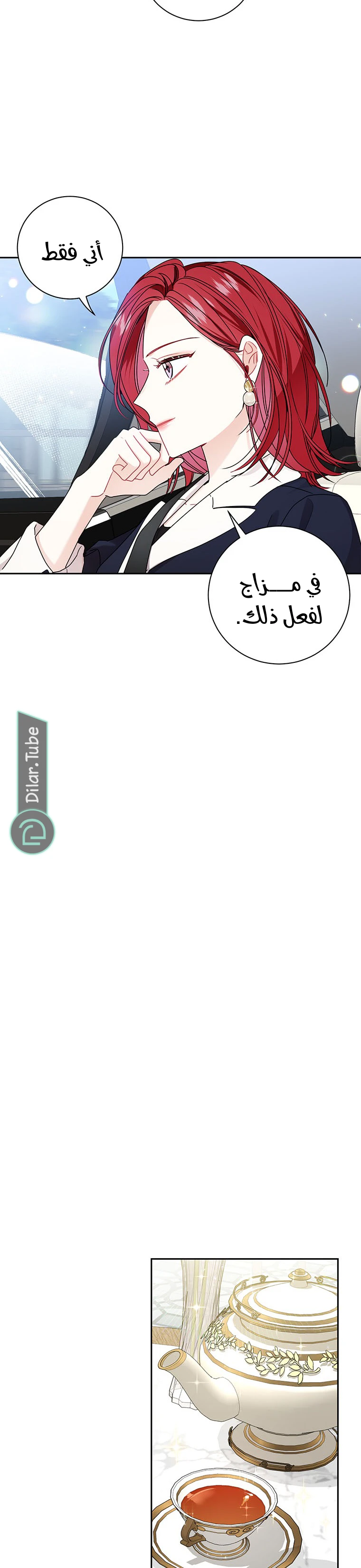 الصفحة 17