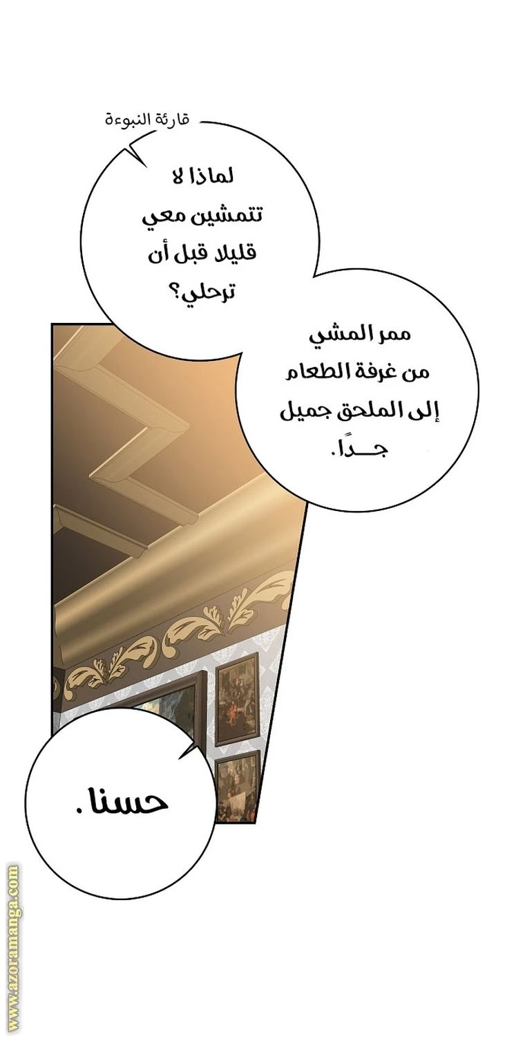الصفحة 29