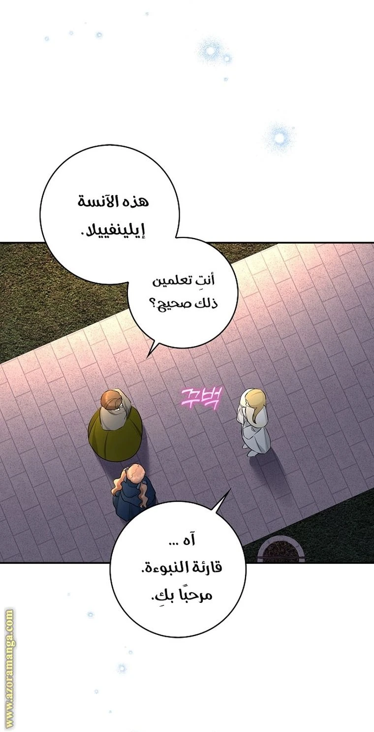الصفحة 38