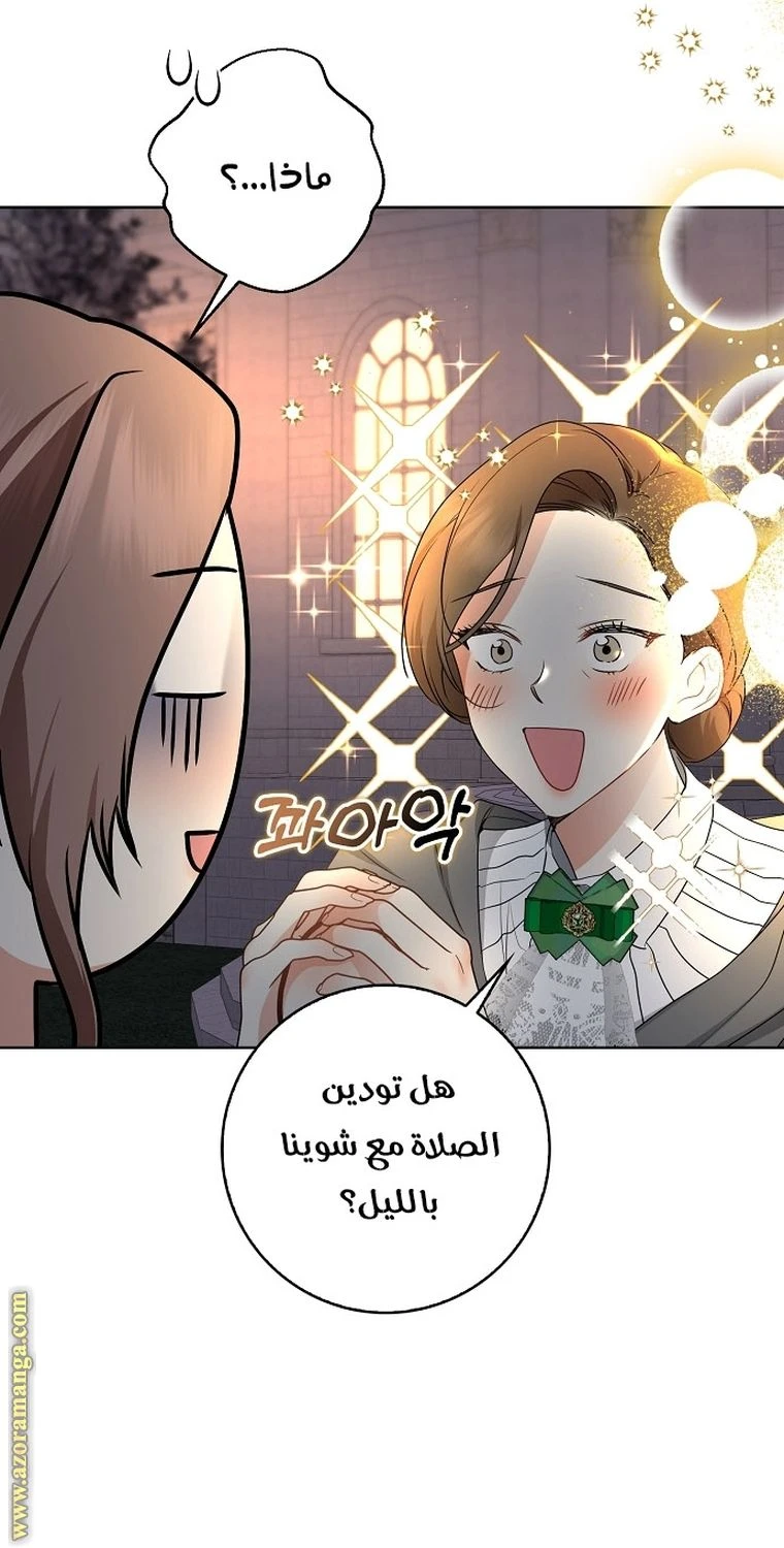 الصفحة 49