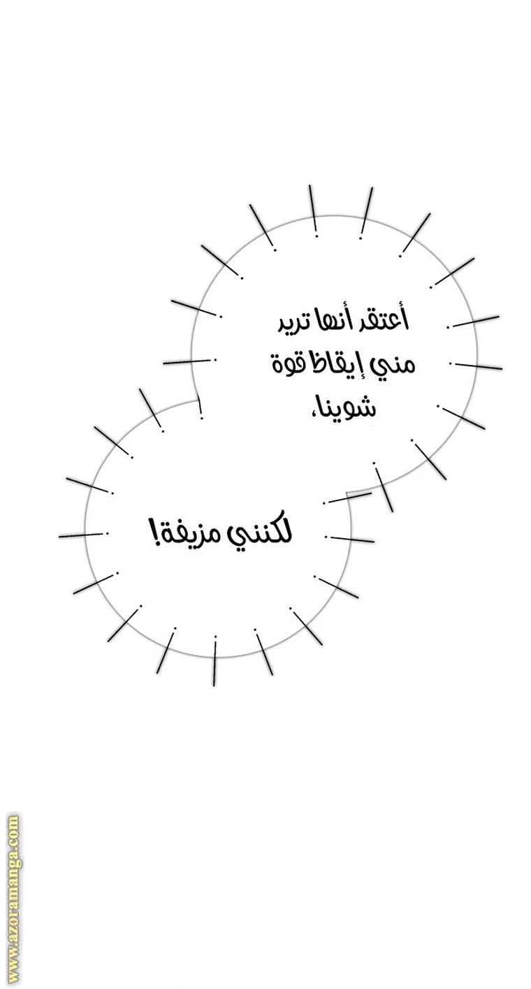 الصفحة 52