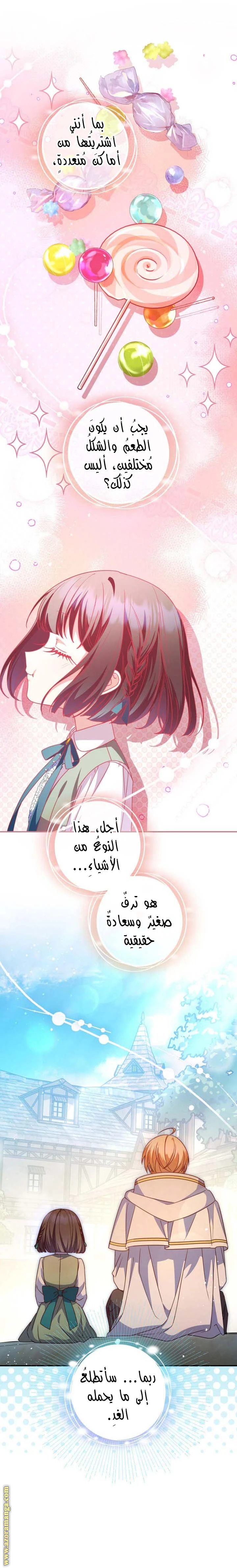 الصفحة 17