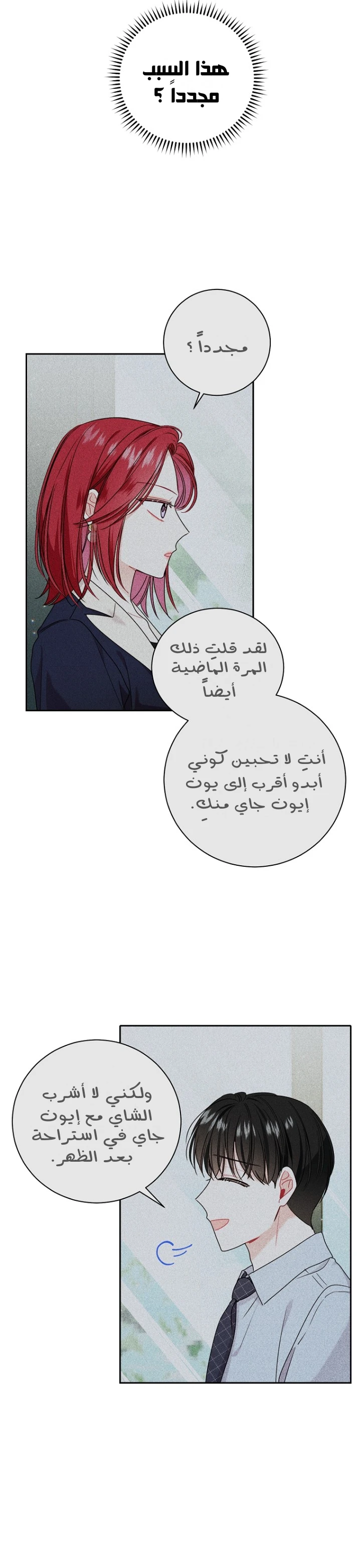 الصفحة 19