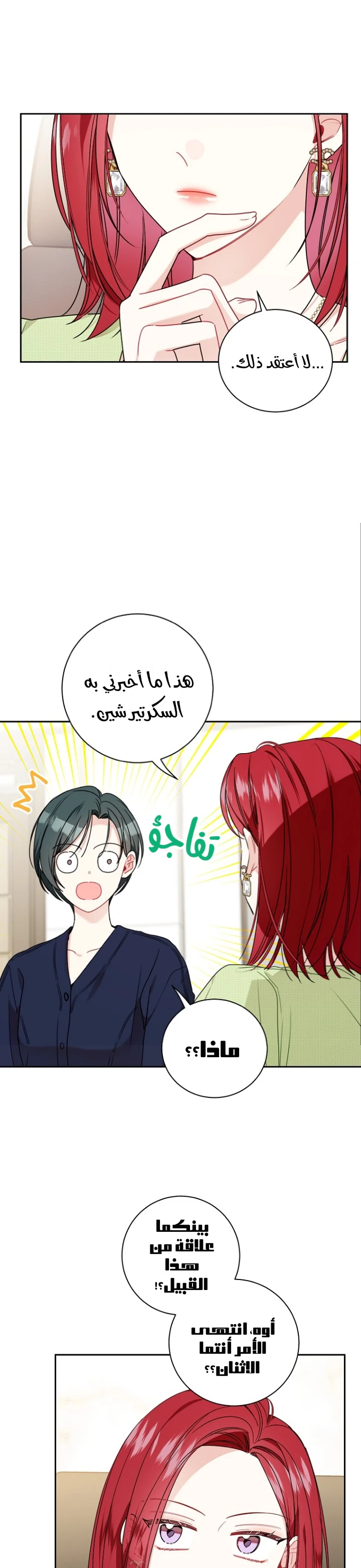 الصفحة 20