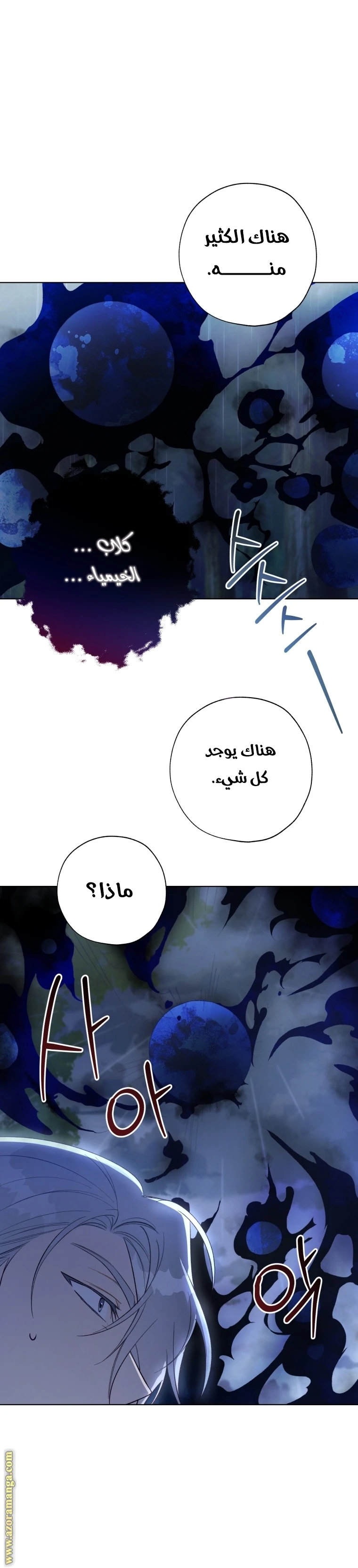 الصفحة 17