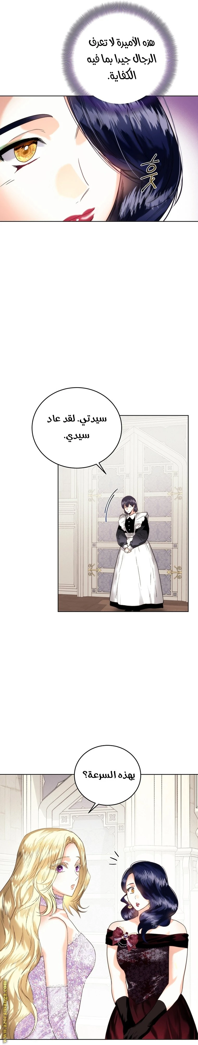 الصفحة 13