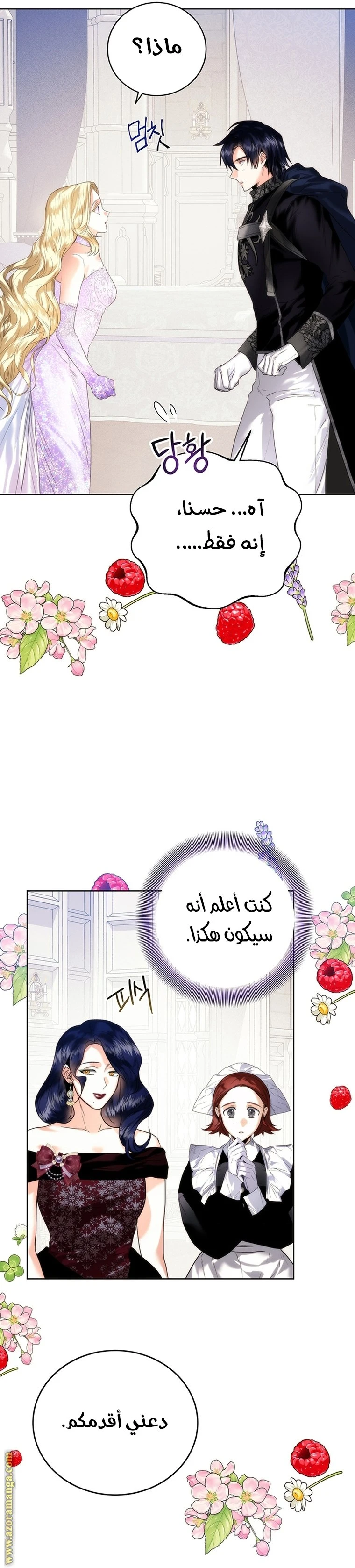 الصفحة 16