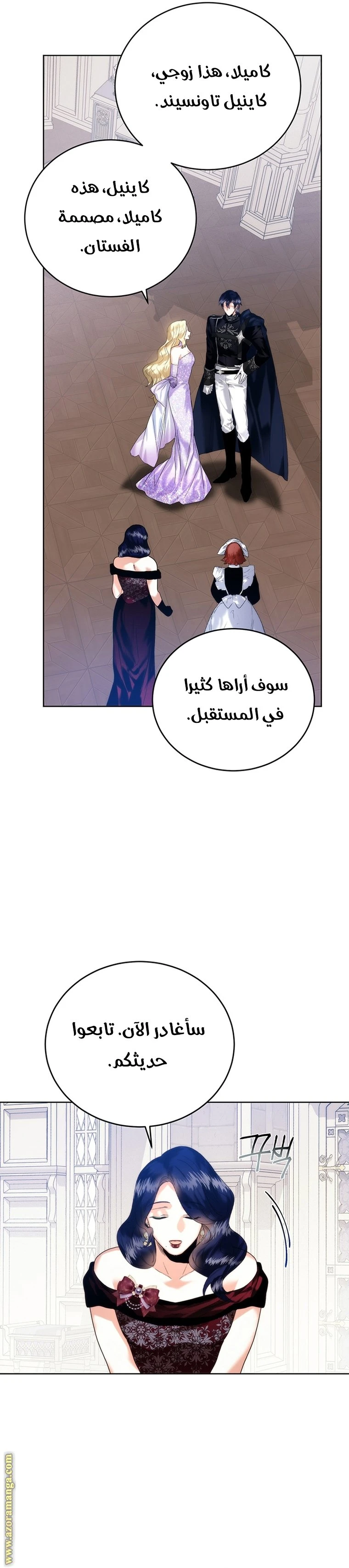 الصفحة 17