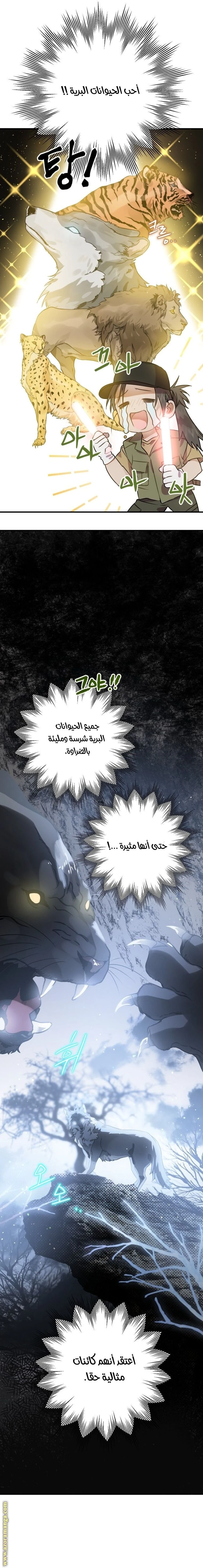 الصفحة 3