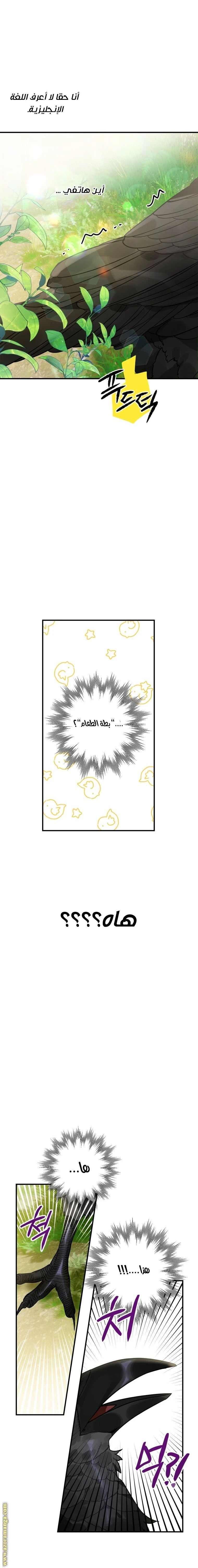 الصفحة 7