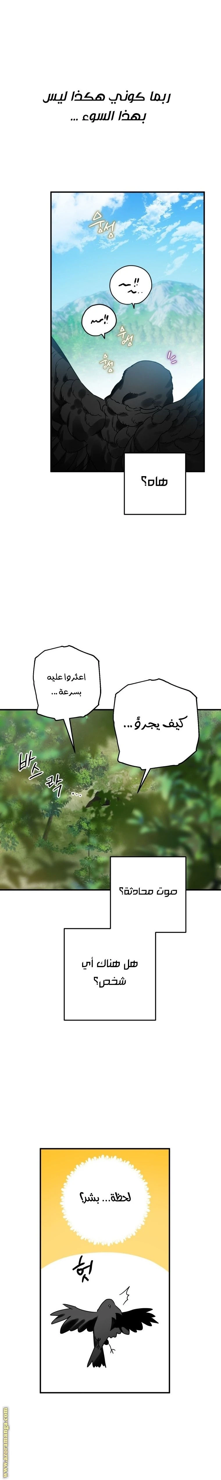 الصفحة 14