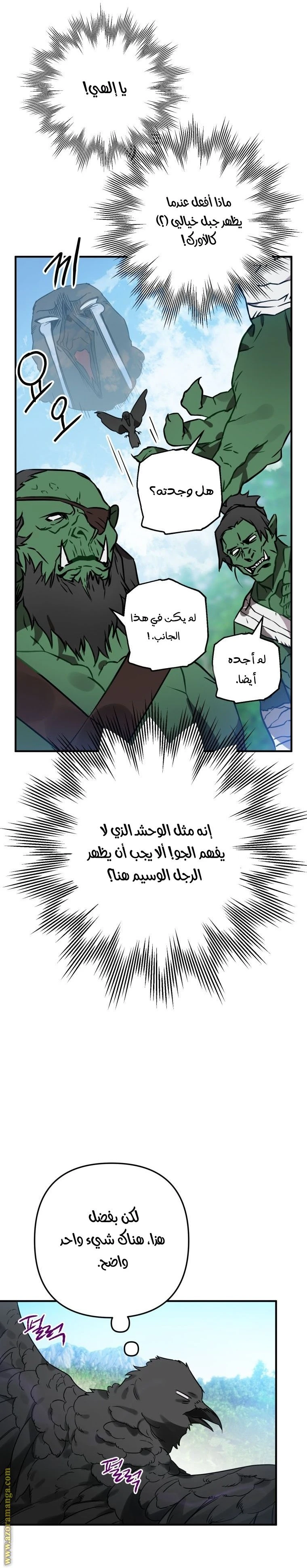الصفحة 17