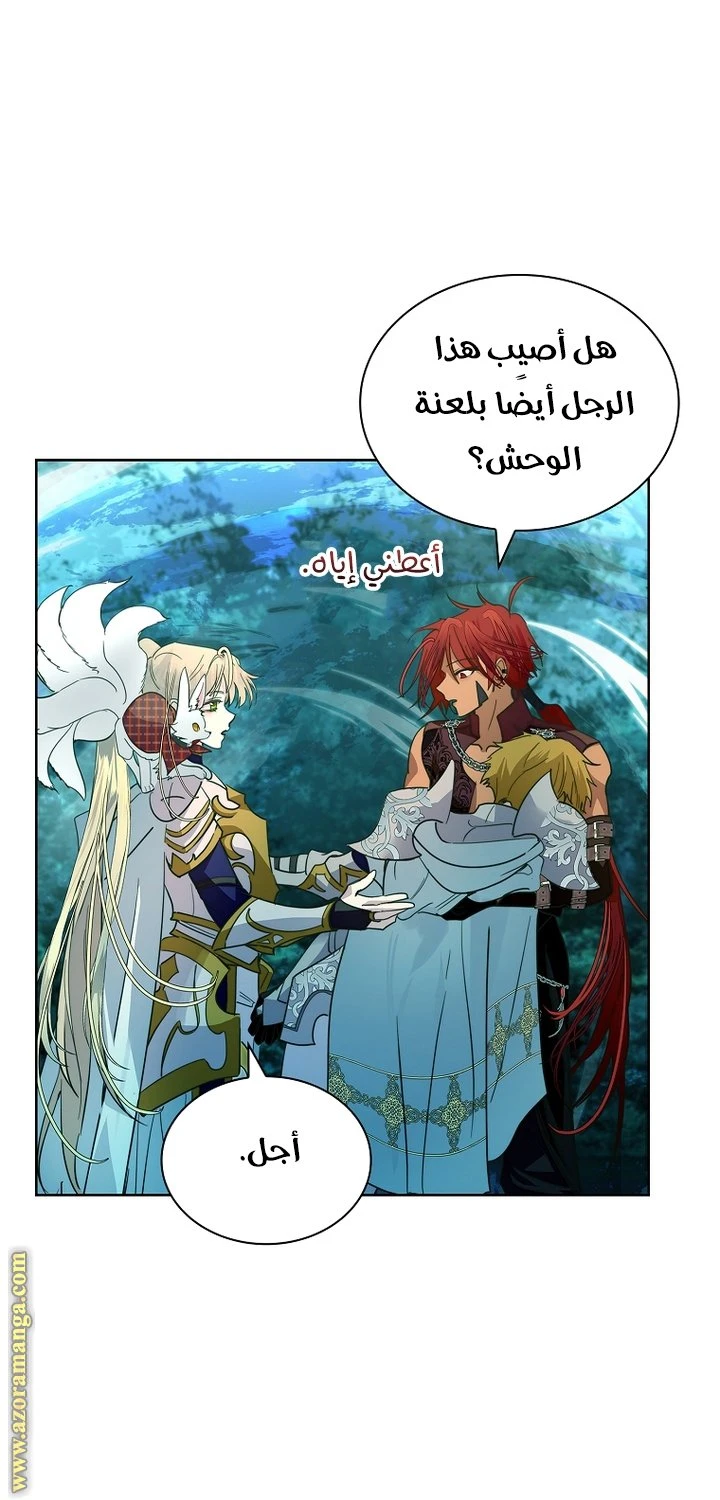 الصفحة 17