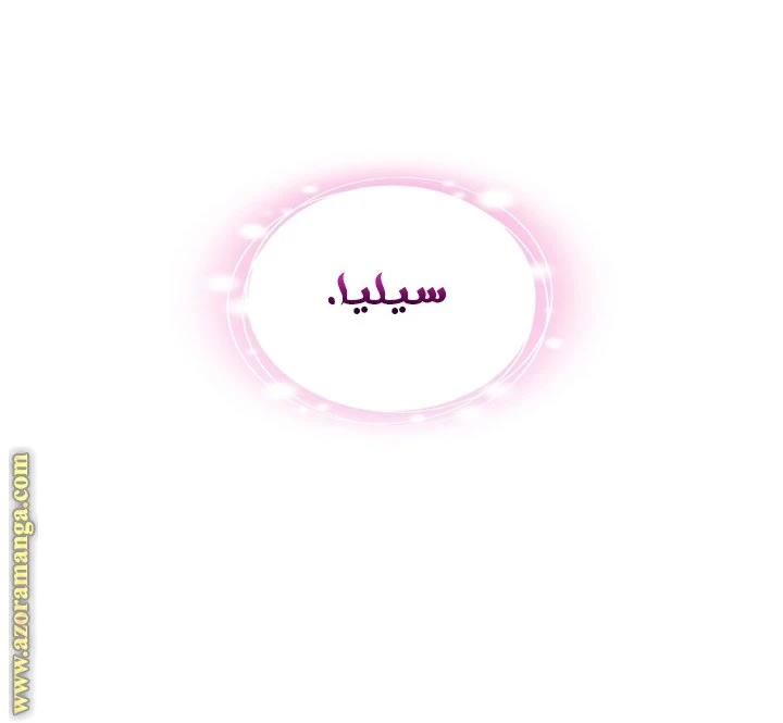 الصفحة 26