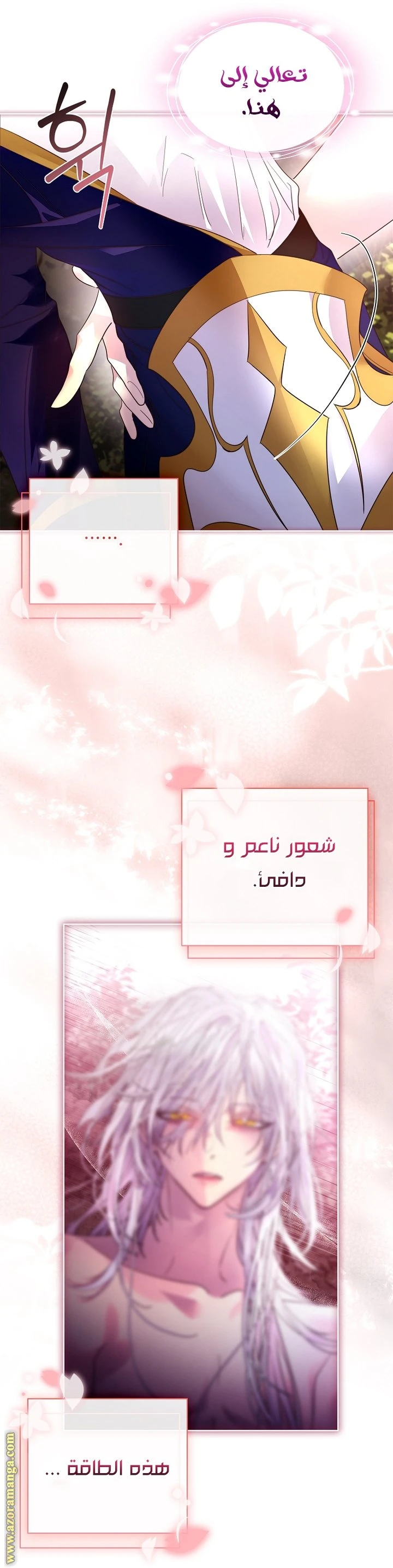 الصفحة 27