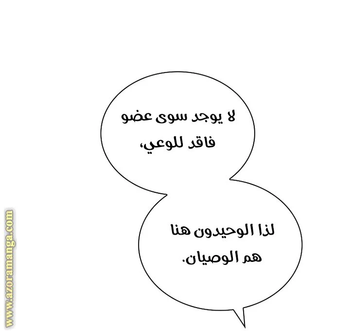 الصفحة 29