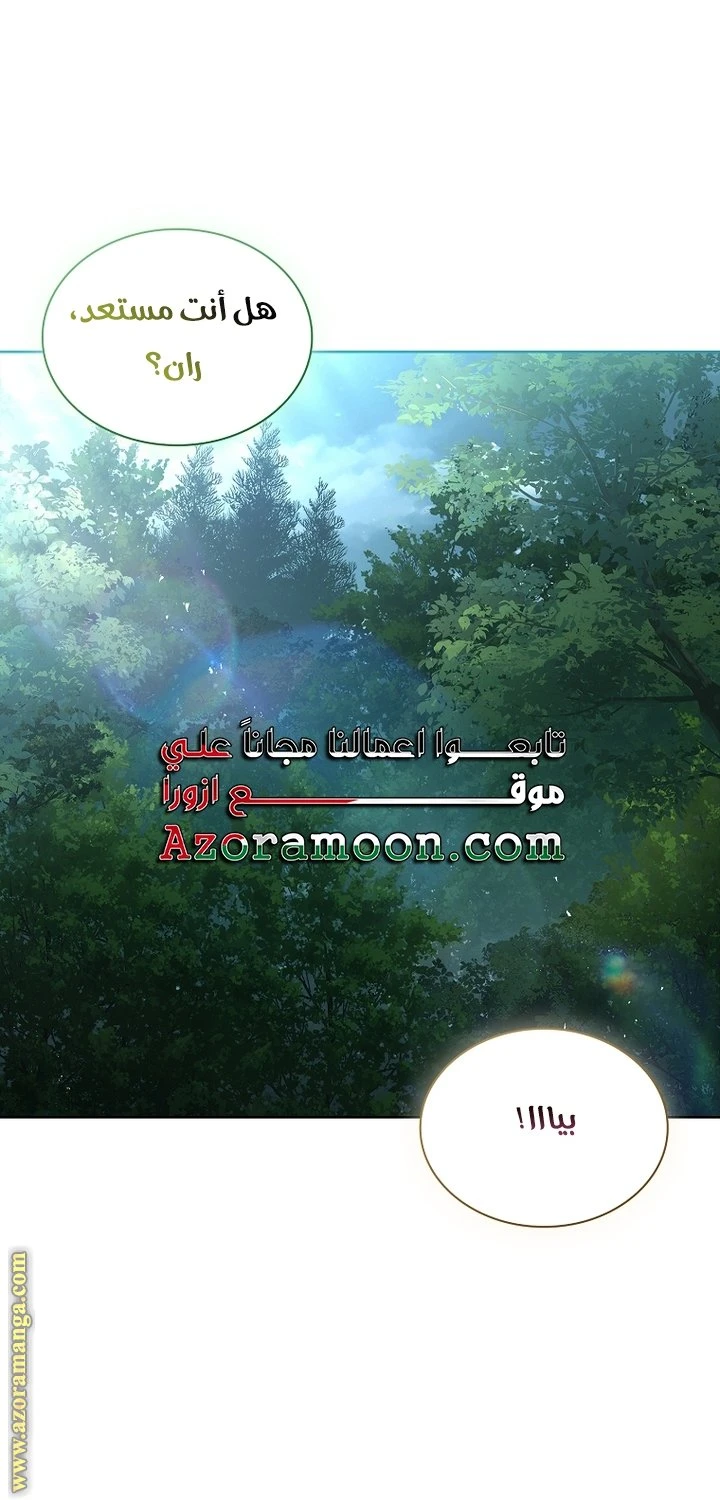 الصفحة 45